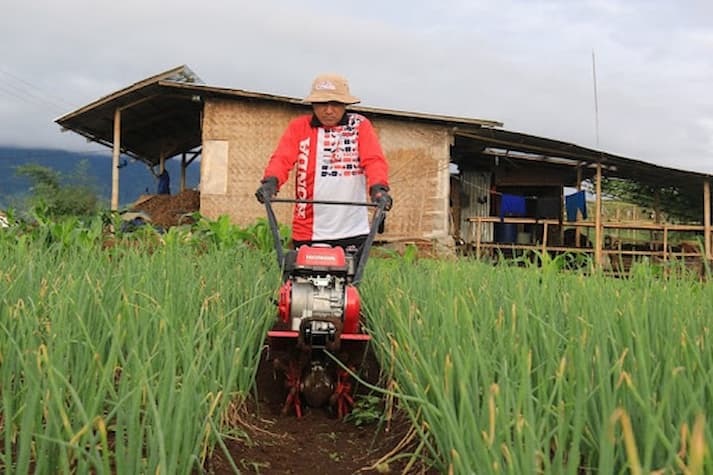 Cultivator untuk memberantas tanaman pengganggu, memperbaiki aerasi tanah, memacu kerja mikroorganisme